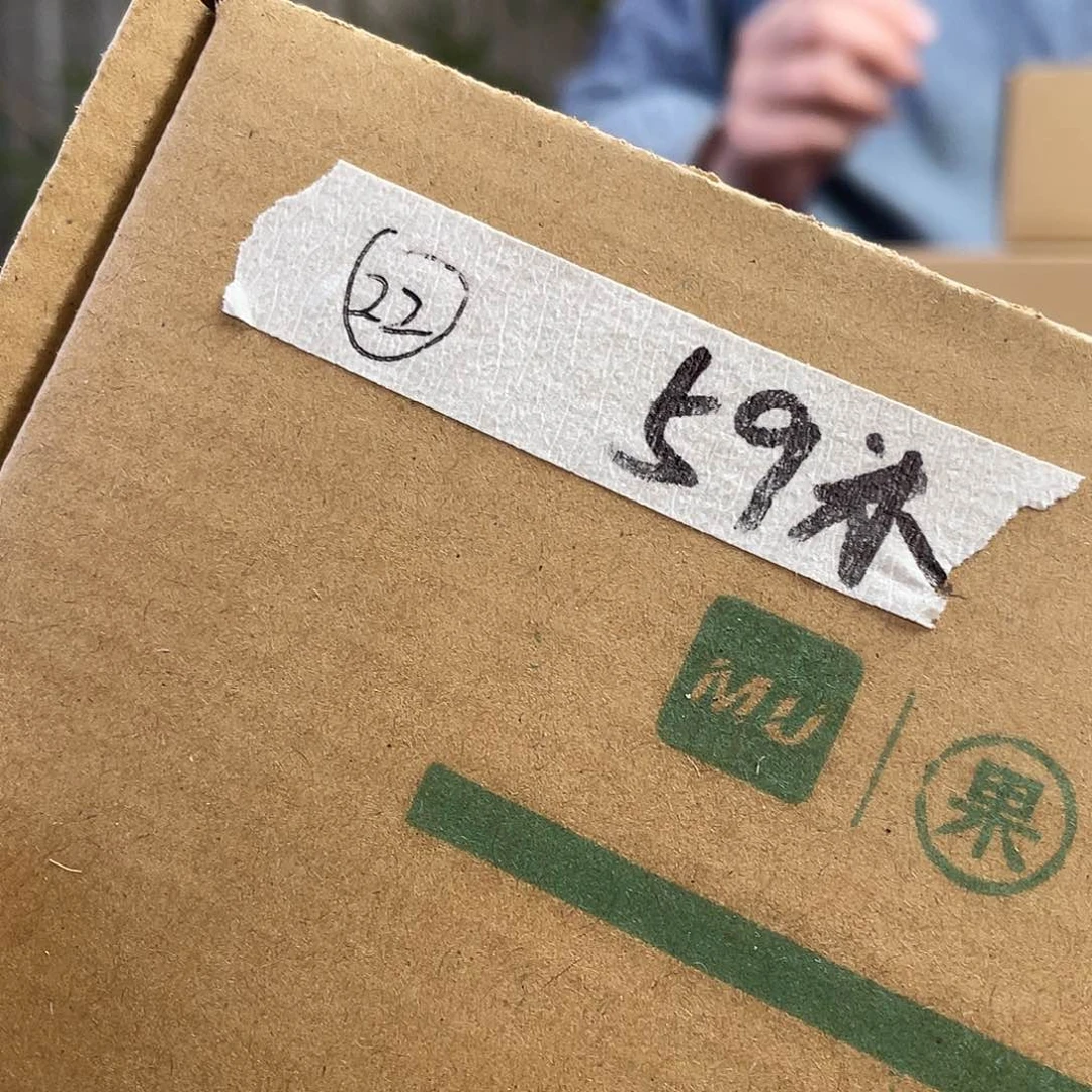 桃核把件22号文玩核桃