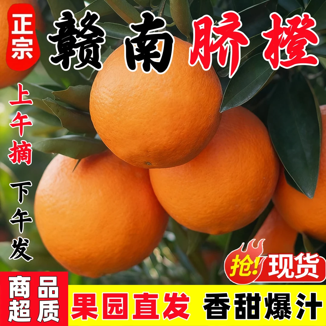 正宗赣南脐橙新鲜橙子当季应季水果薄皮榨汁甜红薯购买地址