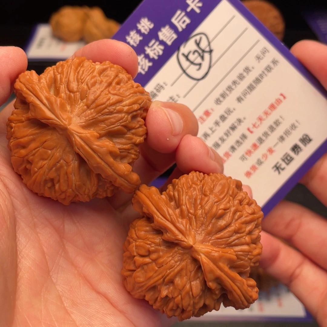 文玩核桃把件白狮子46