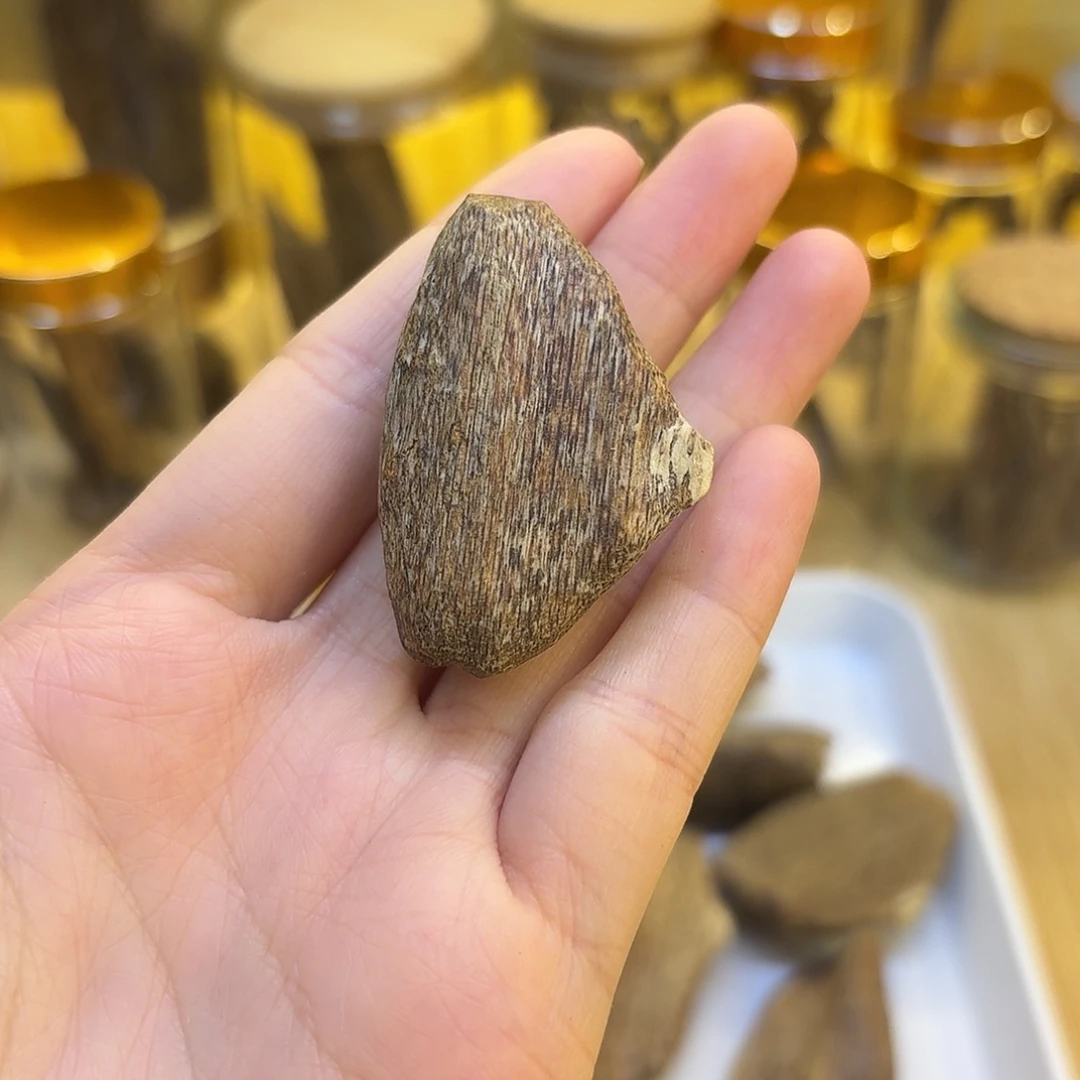 香港沉香树心瓜子2.8克