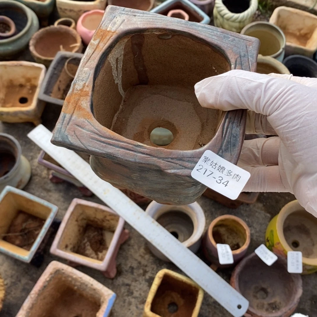 红陶A***n34号多肉盆一个呀