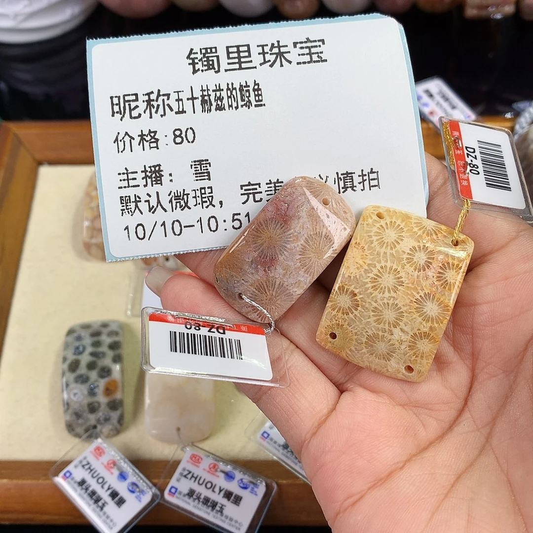 五***鱼硅化珊瑚（珊瑚玉）未镶嵌吊坠(赠链)