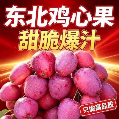 【头茬现摘】2026年东北特产鸡心果新鲜应季锦绣海棠酸甜多汁