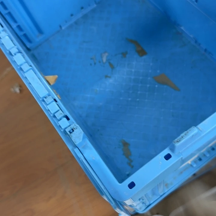 瓷片莎****ʔ开播啦…开播啦