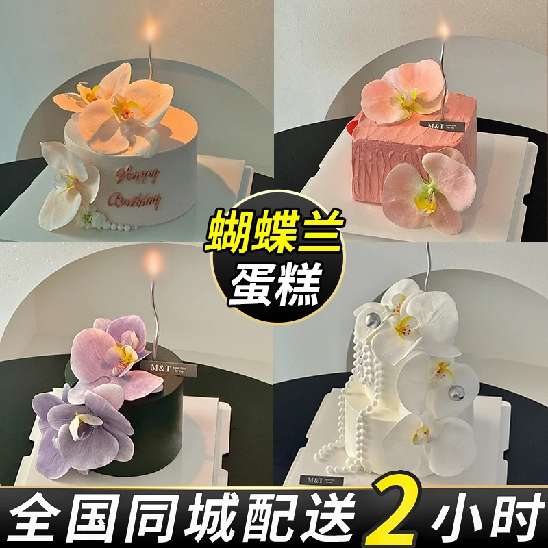 蝴蝶兰生日蛋糕全国同城配送女友妈妈仿真花定制北京上海杭州广州