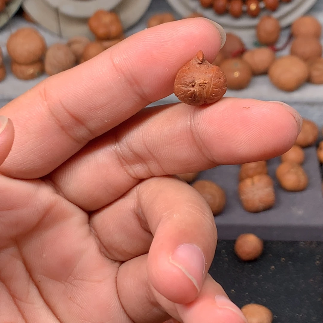 正***旗吊坠凤眼菩提13独角一个