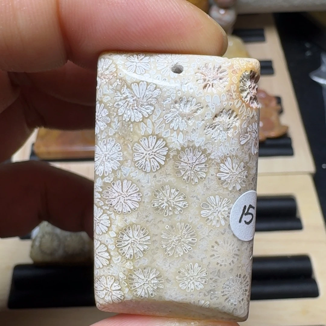 未镶嵌纯天然色有机玉石保真色硅化玉