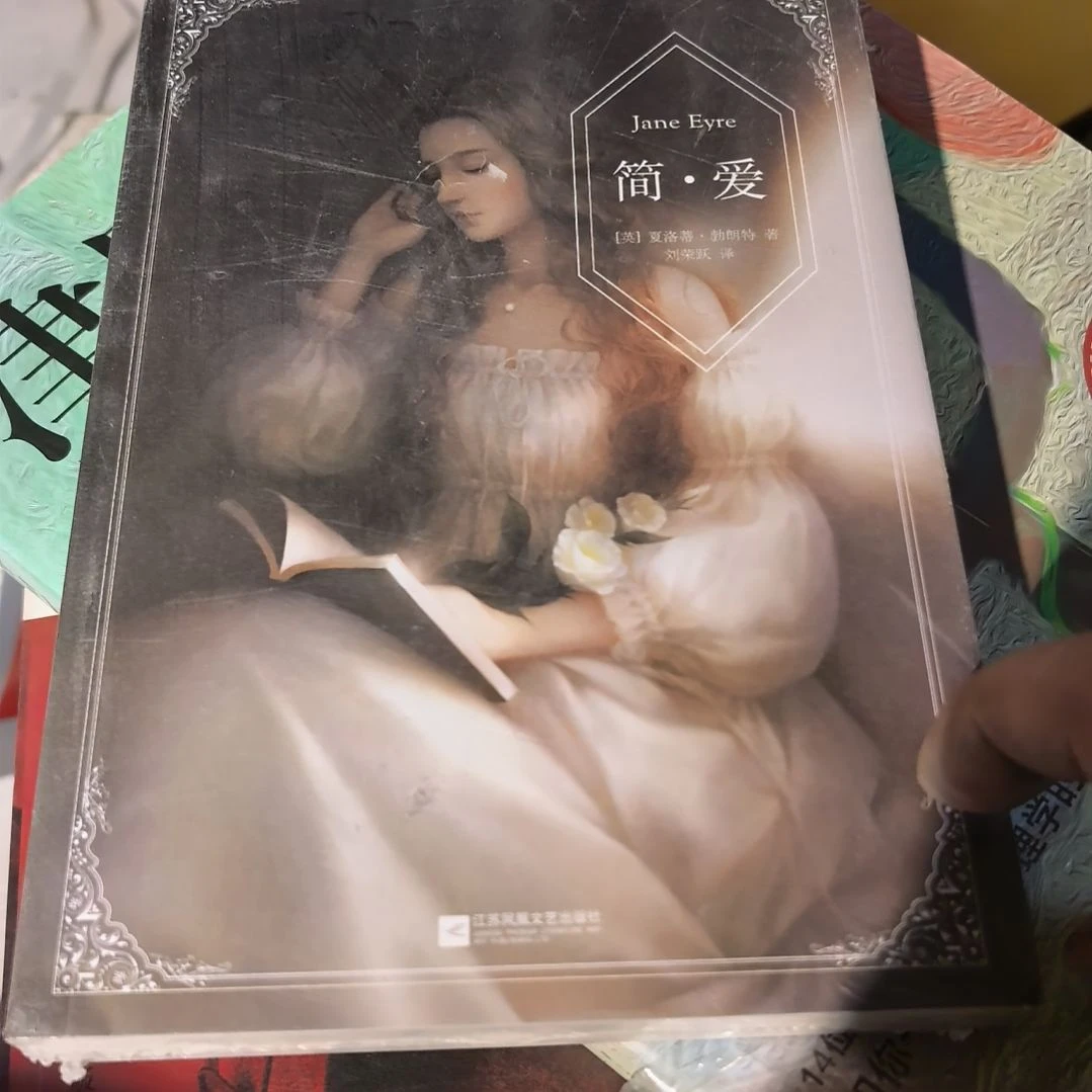 简爱平装库存书库存书