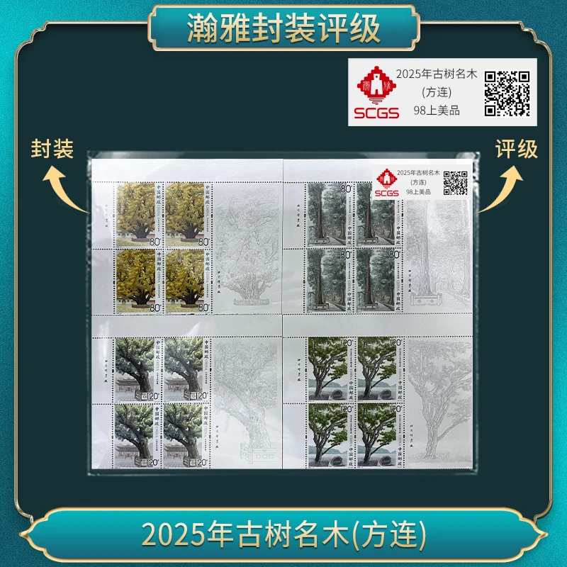 （5张）2025年古树名木(方连）邮票 瀚雅评级 上美品98