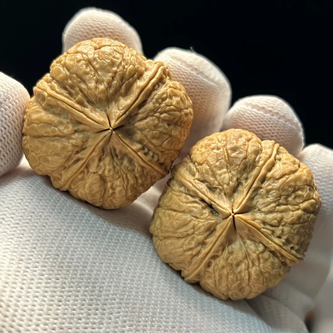 36尺寸四棱-精品云南铁核桃一物一图产地直发