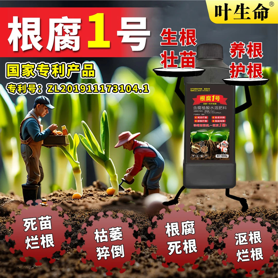 根腐烂根软腐农作物专用根腐1号抑制死苗僵苗青枯立枯促进生根