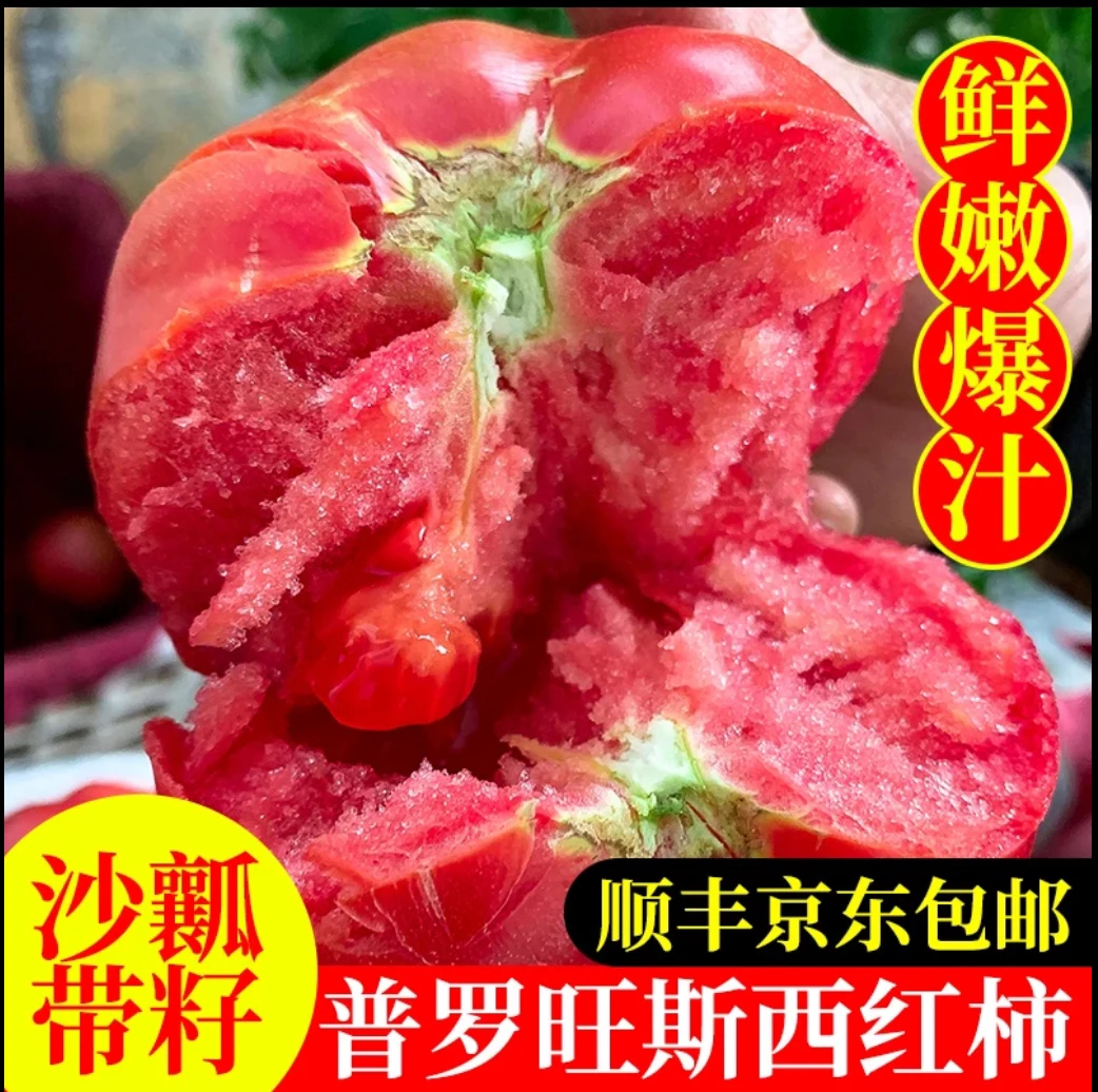 山东潍坊普罗旺斯西红柿 现摘沙瓤 毛粉沙瓤多汁新鲜番茄