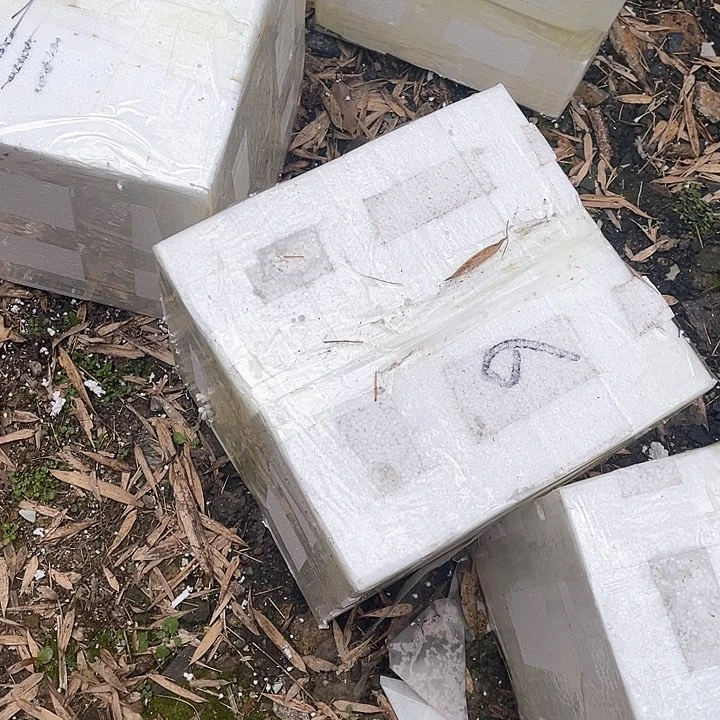 盘6号链接艺术陶瓷