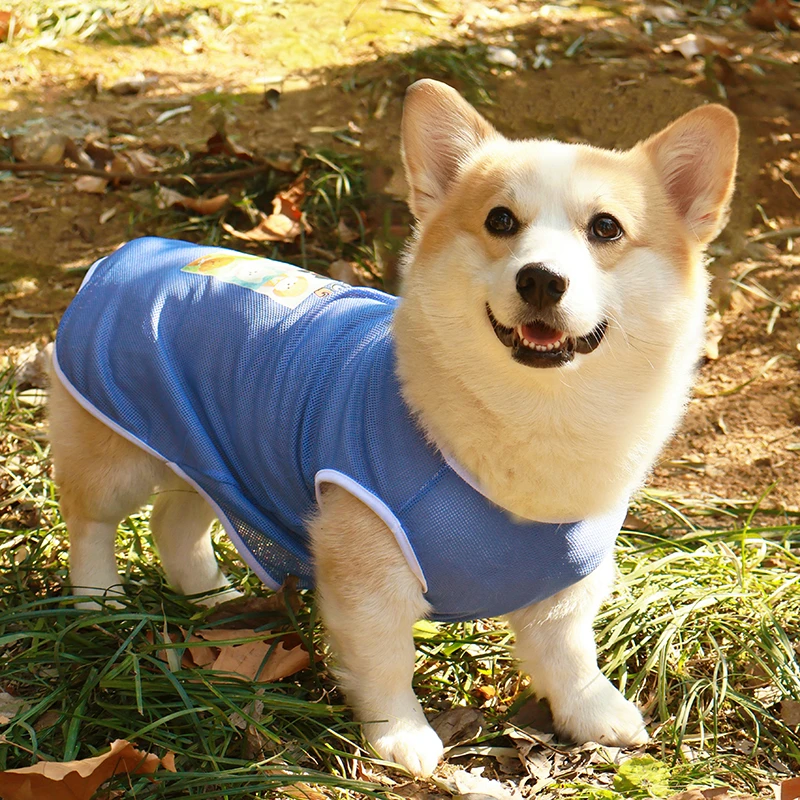 柴犬柯基泰迪宠物穿凉凉狗狗衣服夏季防掉毛背心防晒防脏薄款马甲