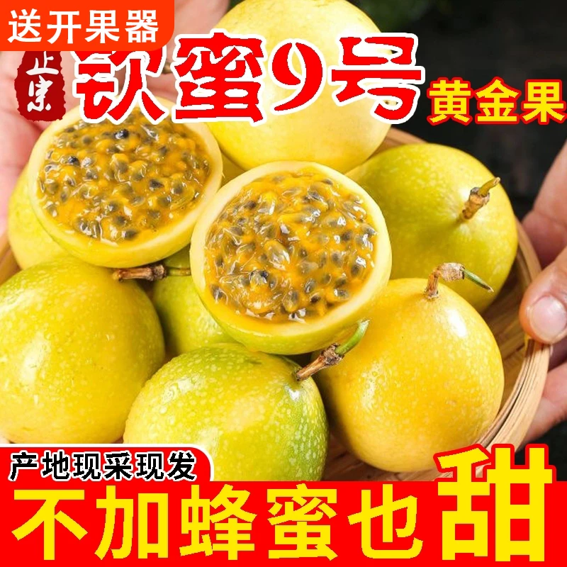 W【品质保证】广西钦蜜9号百香果农家种植黄金百香果现产地直发