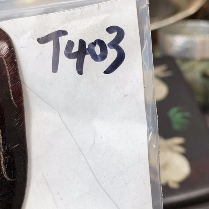 活***信德宝文玩专属链接