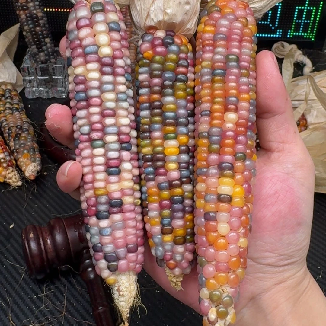 柏香籽/百香籽吊坠小****