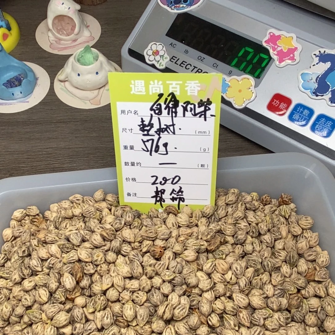 自***柴柏香籽/百香籽吊坠