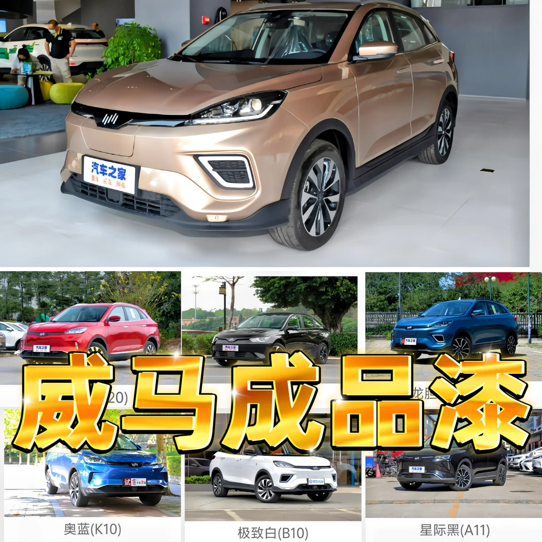 威马成品漆E5EX5W6淡雅白极客黑龙胆蓝云雀金猎红极致白奥蓝