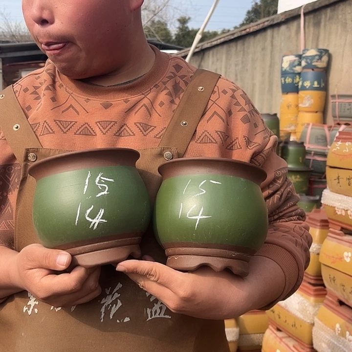 紫砂紫砂花盆盆栽