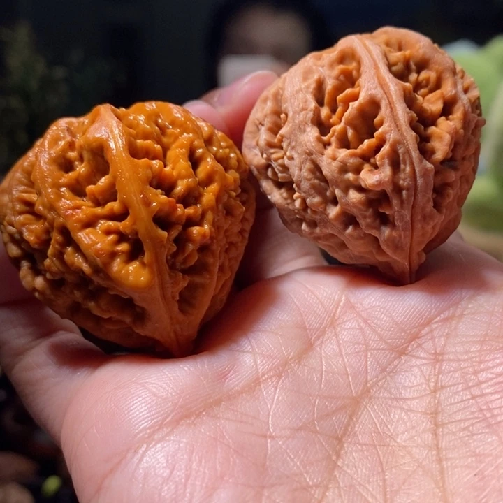 把件文玩核桃东北楸子小路 237