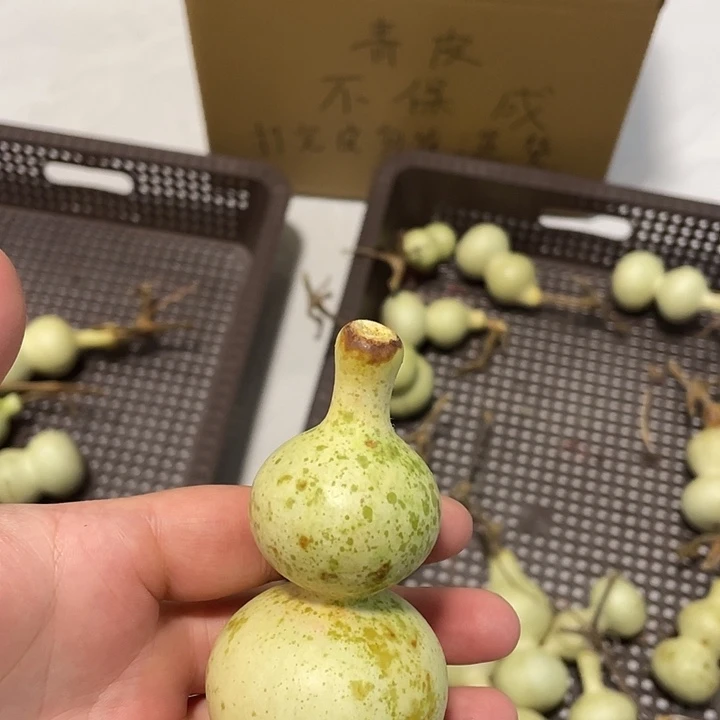 无***名感谢大哥支持不保成