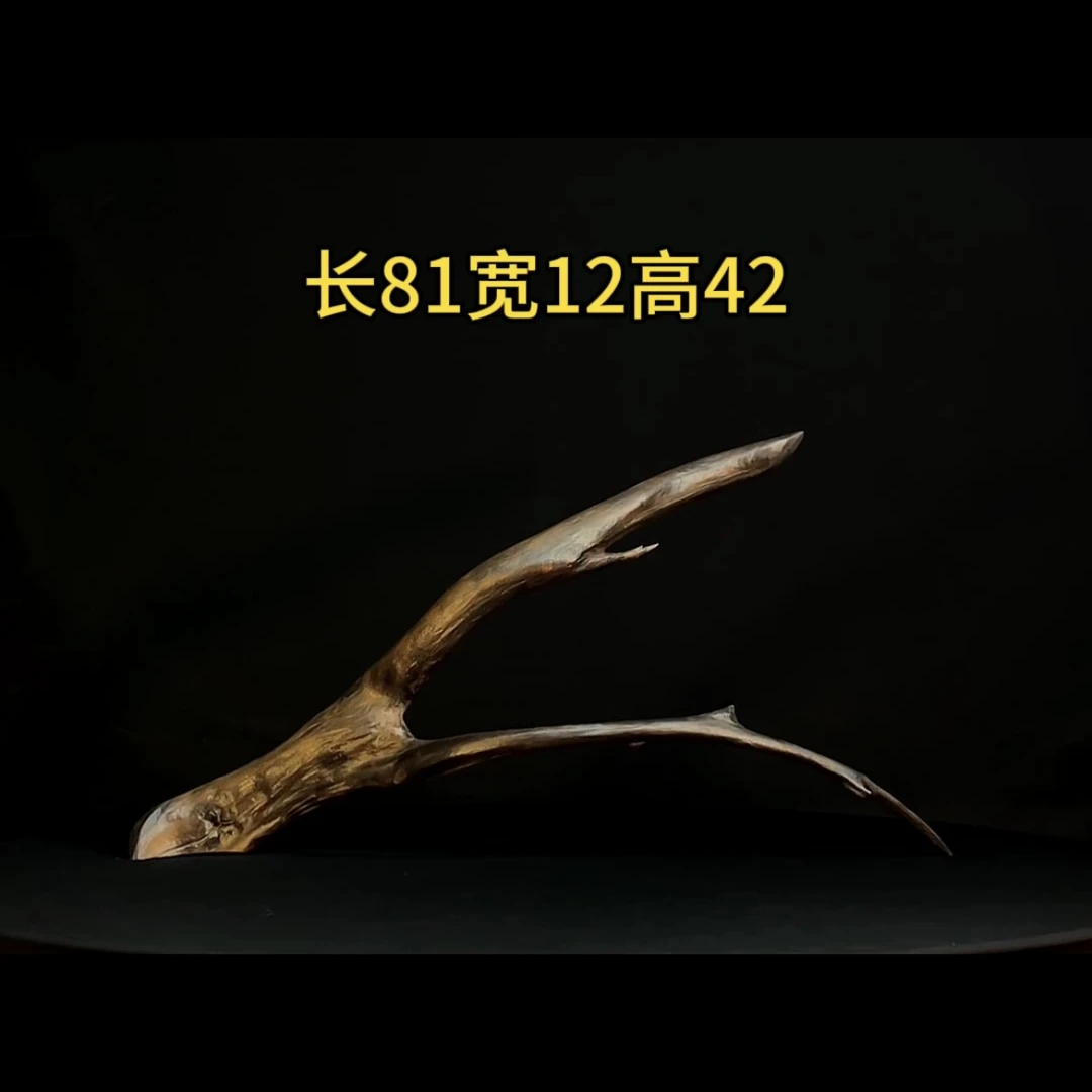 张大狼沉木鱼缸造景81cm长细拱桥飘枝沉木鱼缸装饰摆件