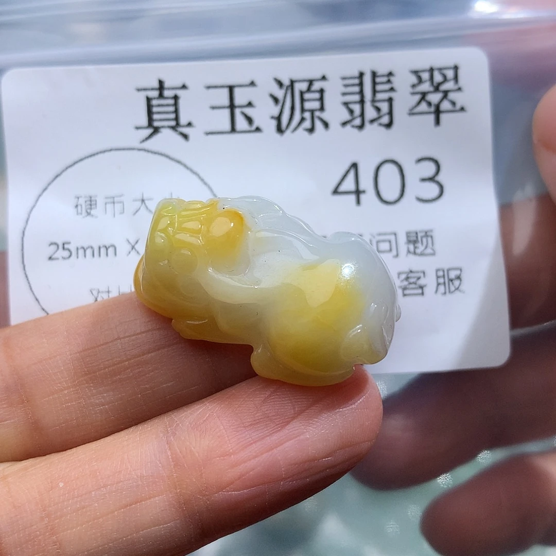 翡翠未镶嵌颈饰403
