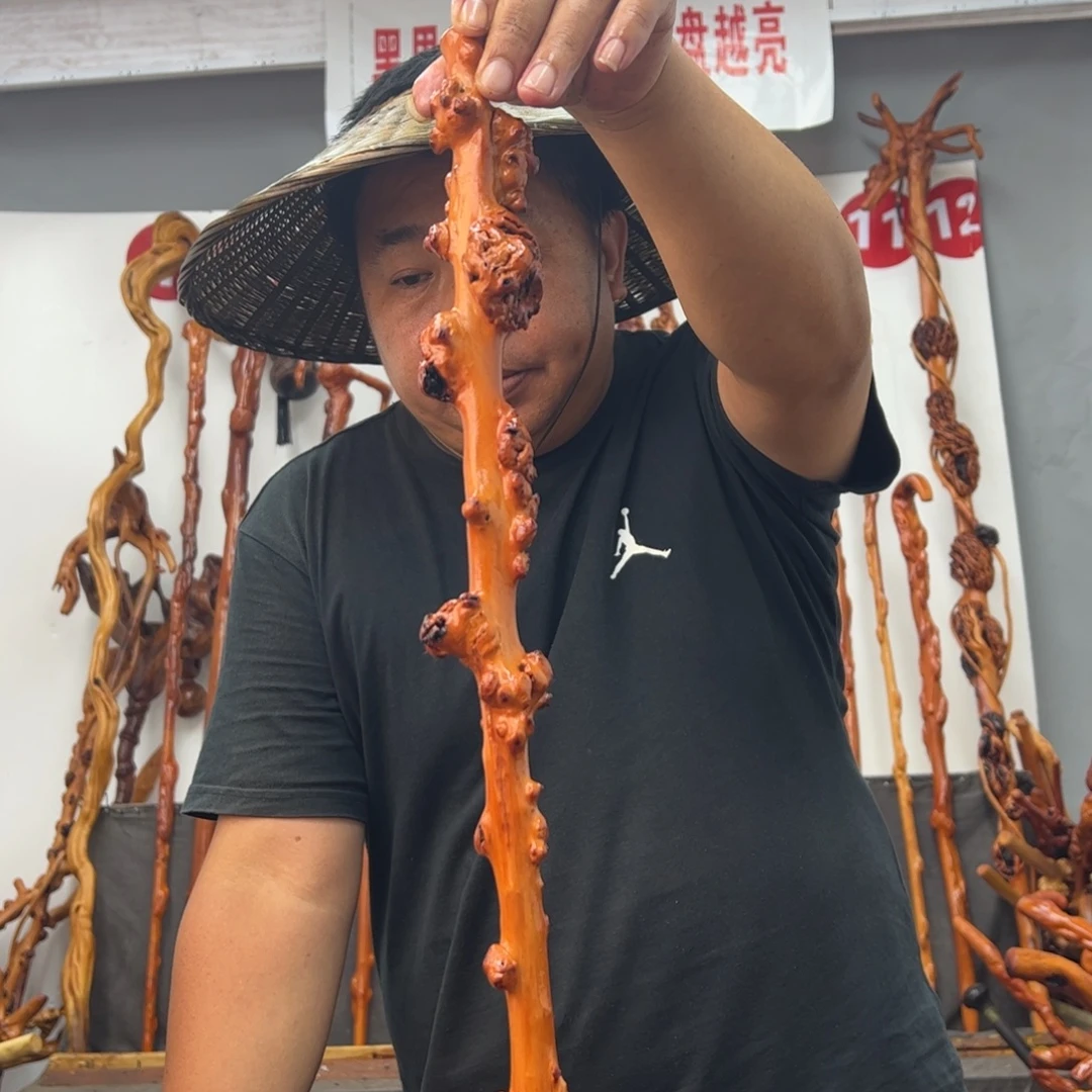 翱***骊黑果木其他黑果木852