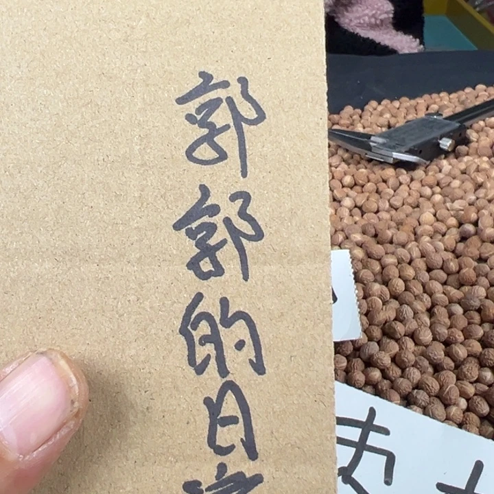 郭***G吊坠凤眼菩提文玩酸枣核