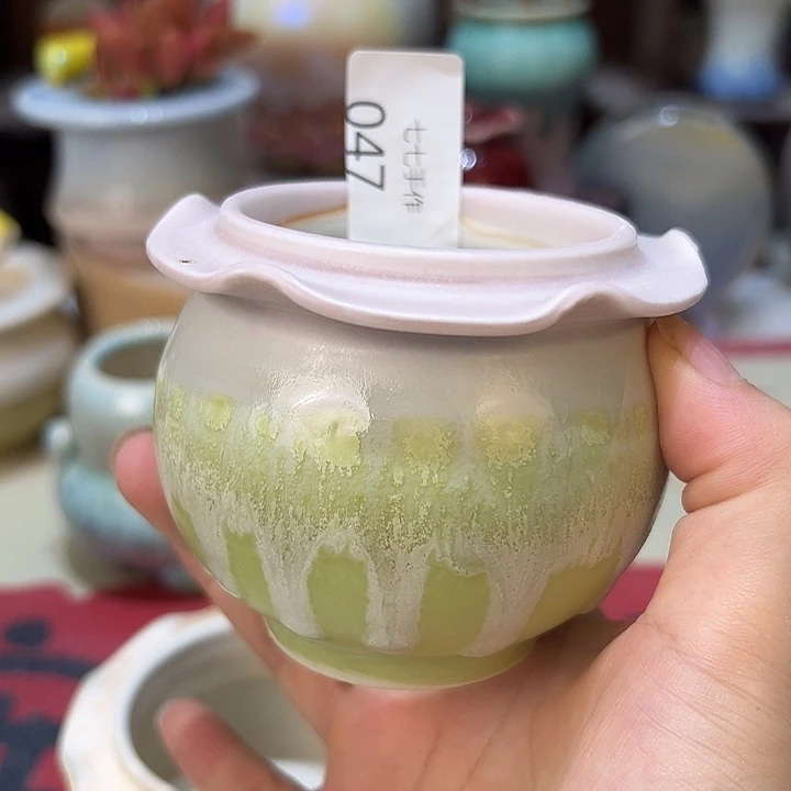 景德镇陶瓷研究所晚***星