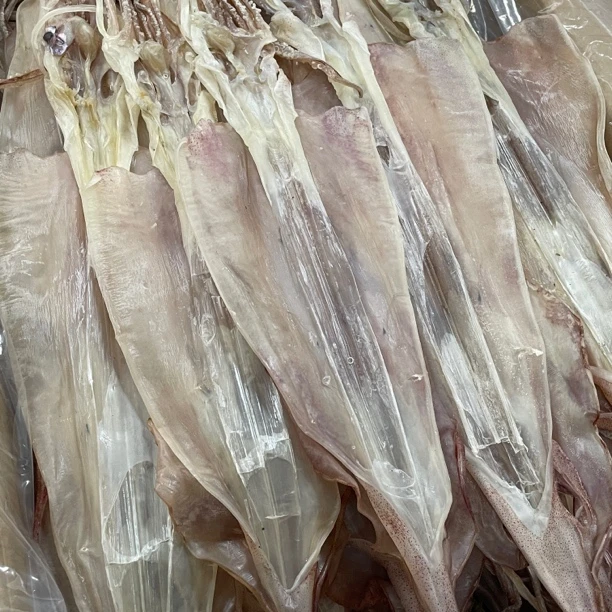 【等于弟】大鱿鱼 鲜甜煲汤煮粥  480-500g