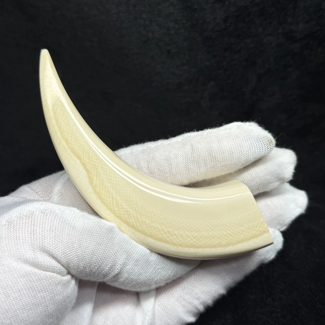 A0079牙尖猛犸牙工艺品