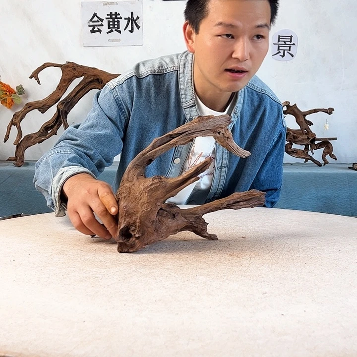 沉木造景爬宠造景