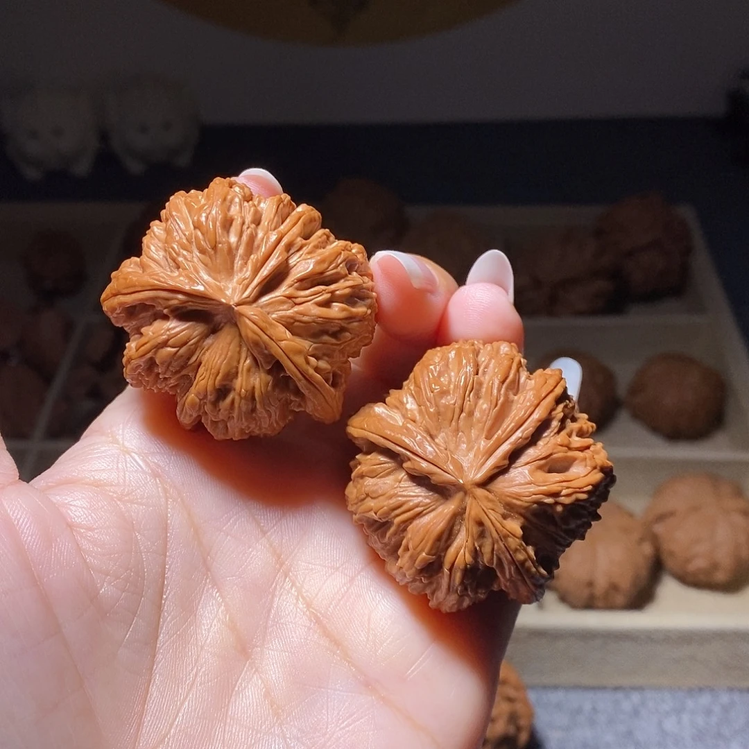 文玩核桃把件白狮子球连三棱