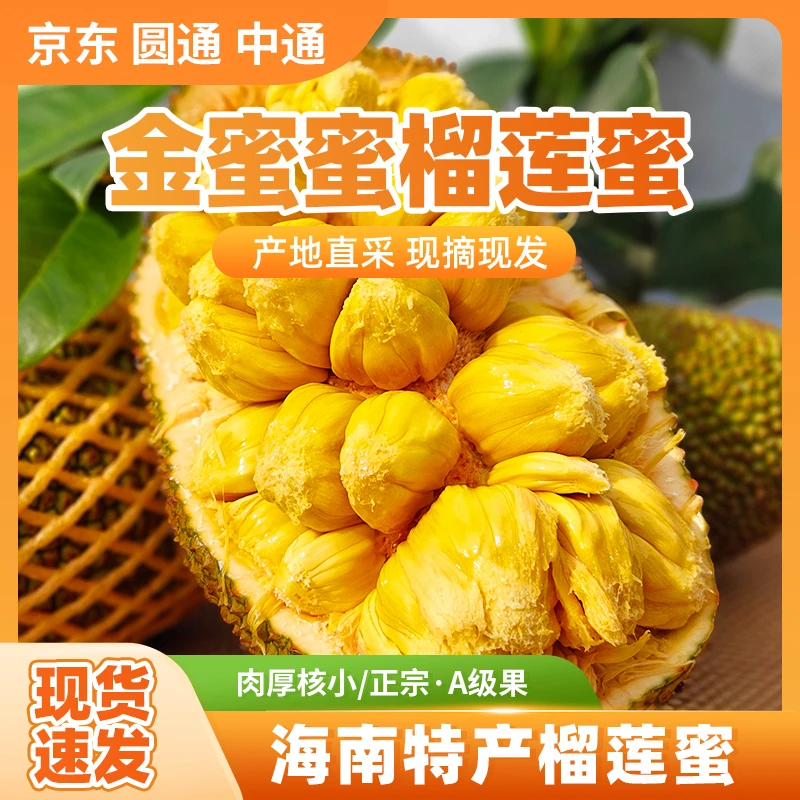 J海南榴莲蜜热带水果产地直发软糯香甜孕妇水果新鲜采摘顺丰包邮