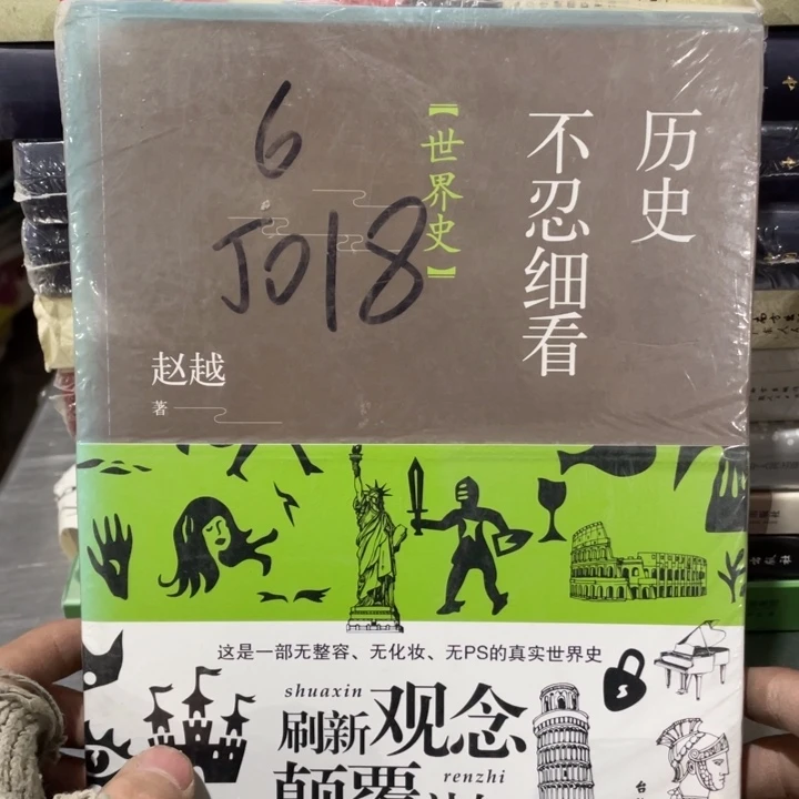 历史不忍细看正版