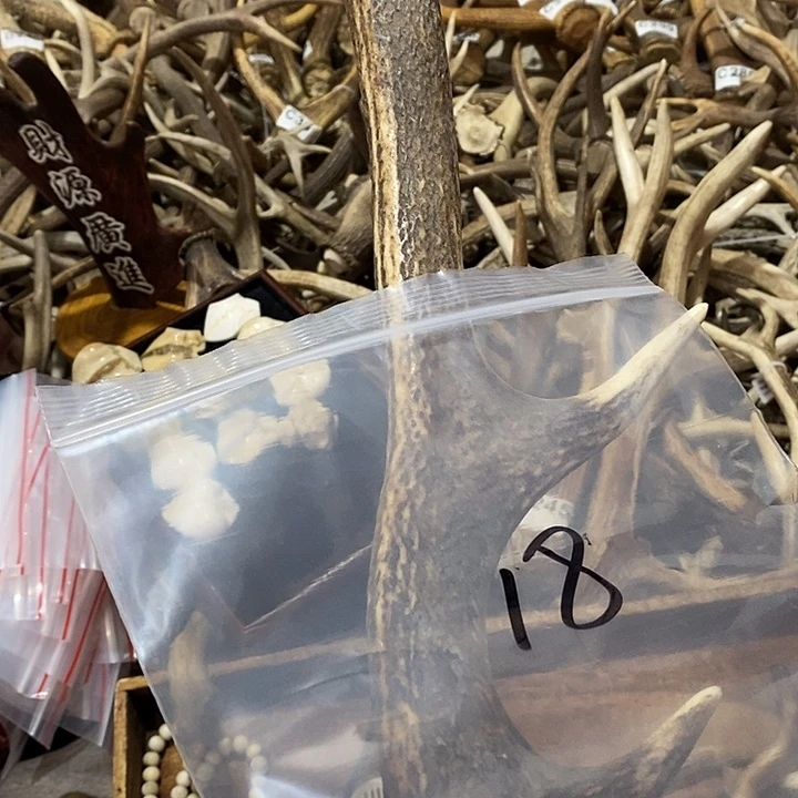 石英石非金属鹿角鹿角