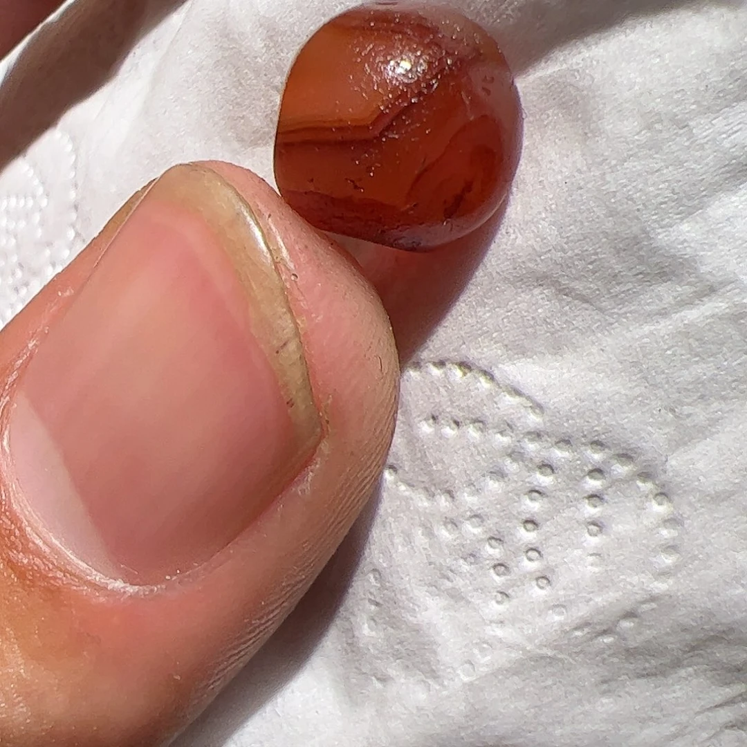 香榧木你的时候你