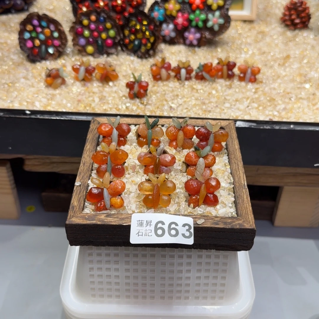 萌***吖663莲蓬摆件莲蓬摆件