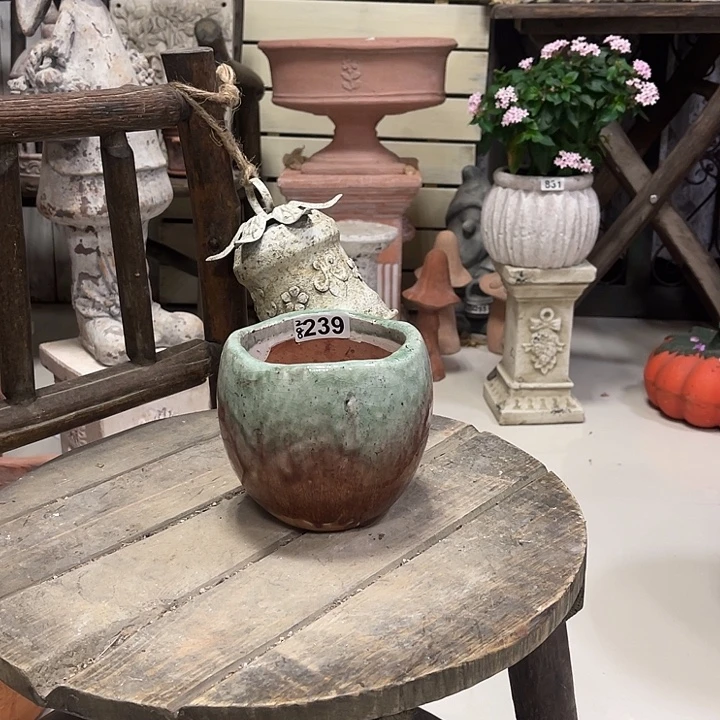 239孤品小盆11111