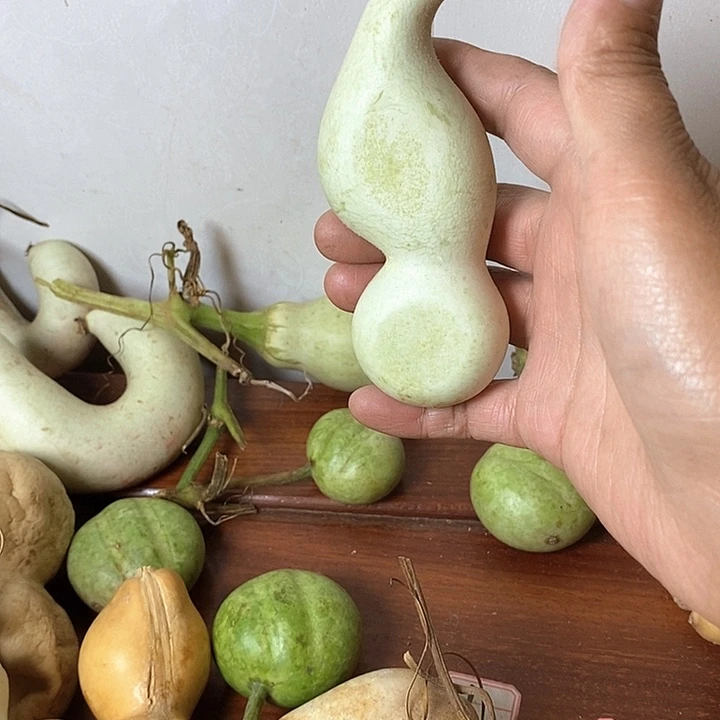 瑞***纺青皮葫芦手把件摆件