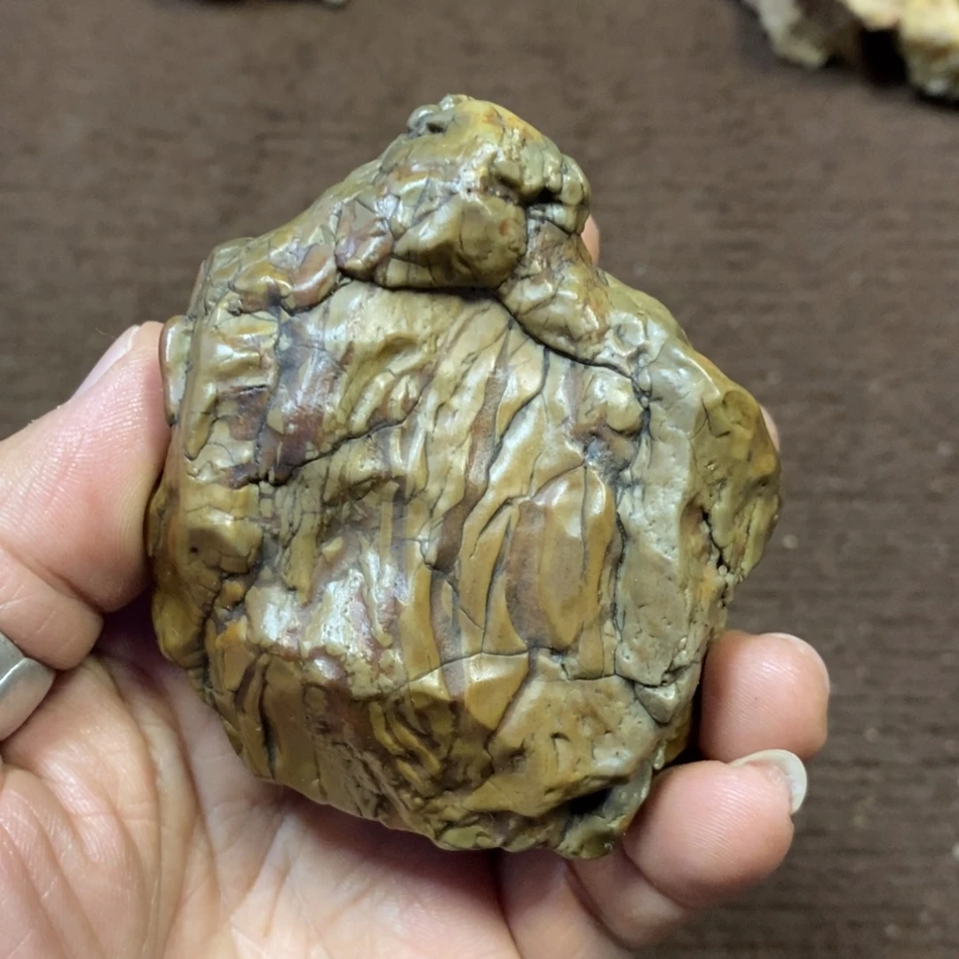 三醋酯纤维 唾沫03