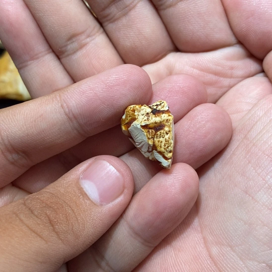 定制琥珀未镶嵌用****8琥珀蜜蜡原石定制