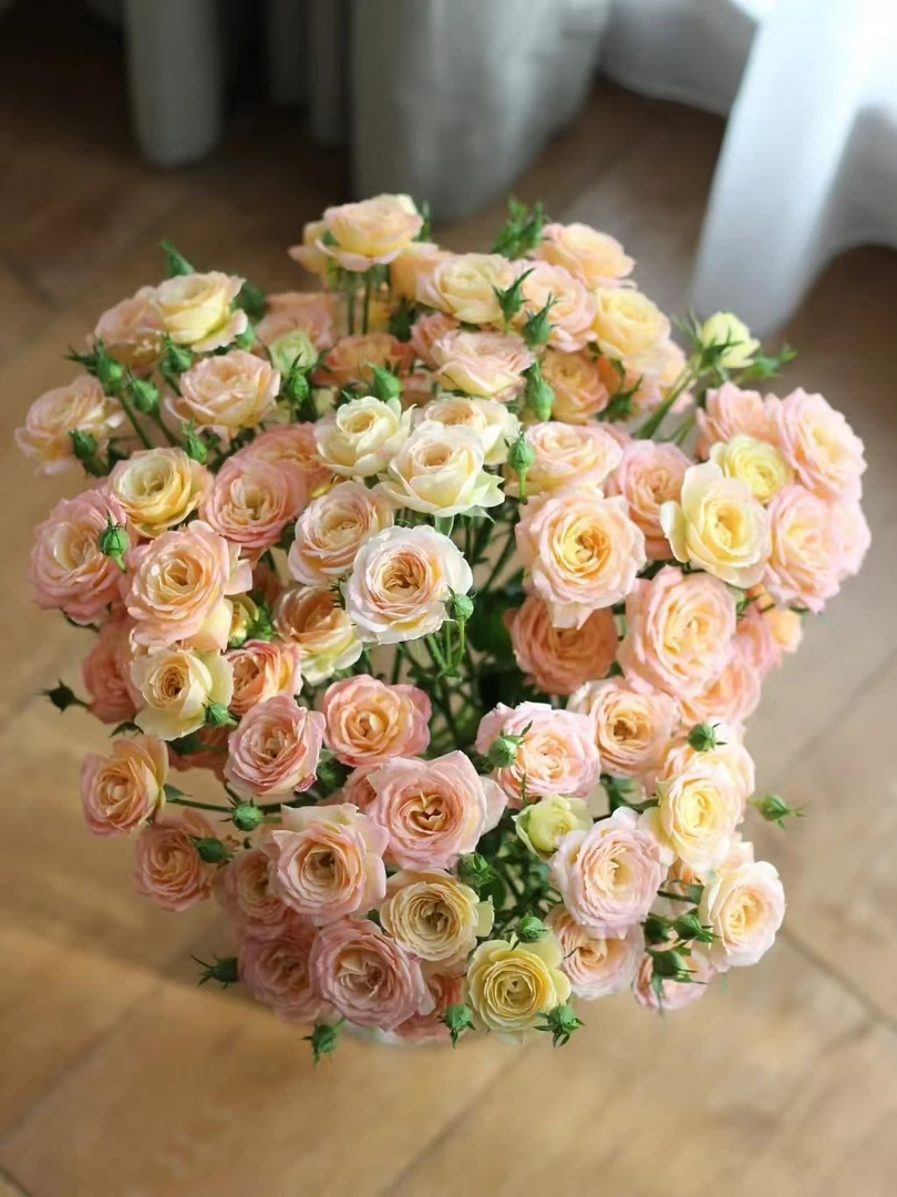 【买一送一】小头簪花笑泡泡10支 多头玫瑰  云南基地鲜花直发