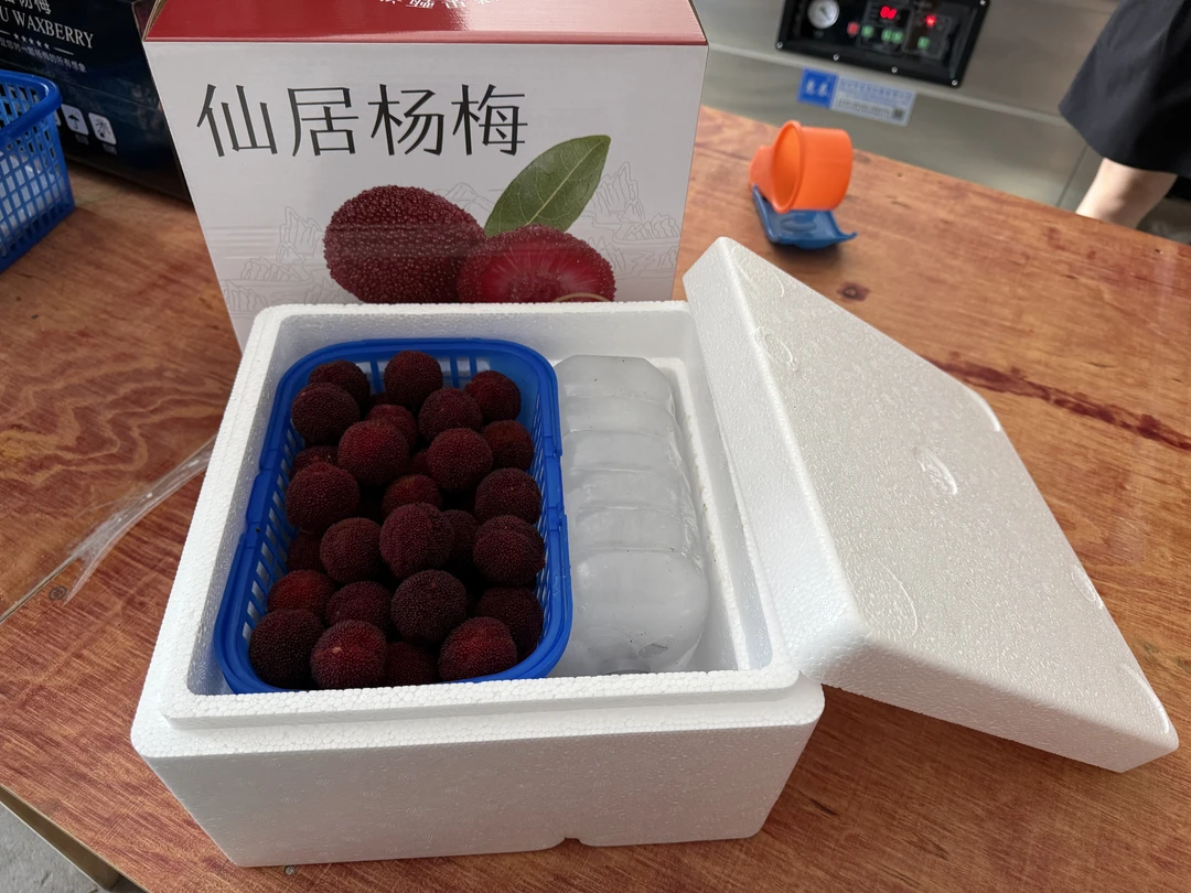 正宗浙江仙居东魁杨梅新鲜当季水果3斤装产地现摘现发