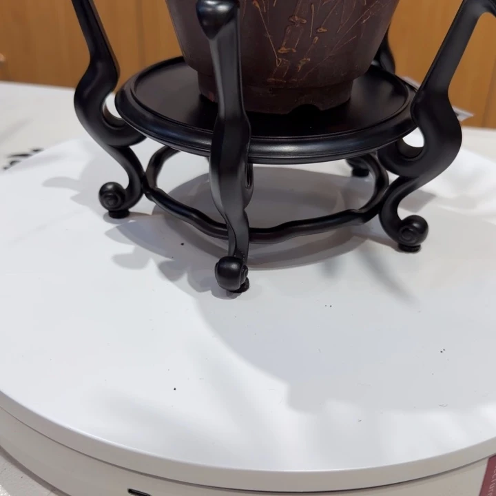 紫砂紫砂紫砂紫砂紫砂