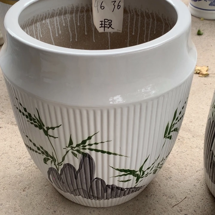 花盆里的小猫咪们都好可爱啊