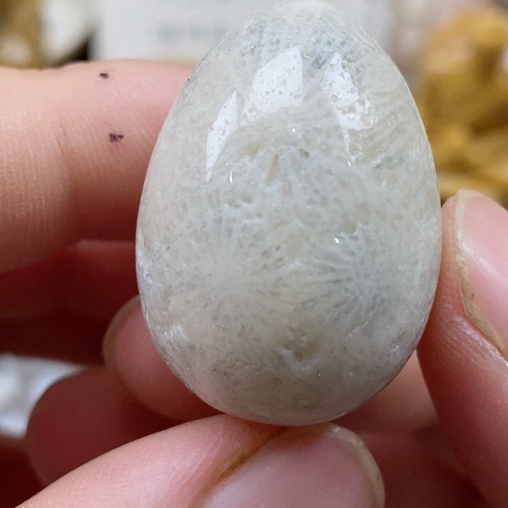 颈饰未镶嵌硅化珊瑚（珊瑚玉）有瑕