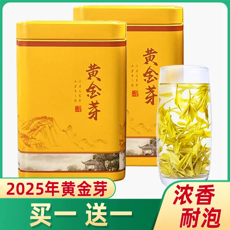 黄金芽茶叶2025年新茶茶叶高山绿茶春茶浓香型高山安吉黄金芽茶叶